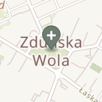 Praktyka Fizjoterapeutyczna na mapie