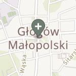 Praktyka Fizjoterapeutyczna na mapie
