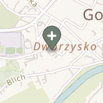 Praktyka Fizjoterapeutyczna na mapie