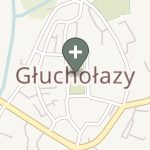 Praktyka Fizjoterapeutyczna na mapie