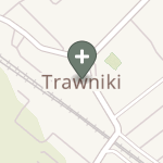 Praktyka Fizjoterapeutyczna na mapie