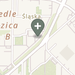 Praktyka Fizjoterapeutyczna na mapie