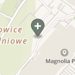 Praktyka Fizjoterapeutyczna na mapie
