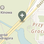 Magdalena Waśniewska na mapie