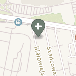 Monika Łapczyńska na mapie