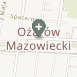 Paulina Gutowska na mapie