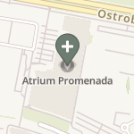 Wojciech Korzeniowski na mapie