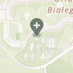 Sonia Stec-Wieloch na mapie