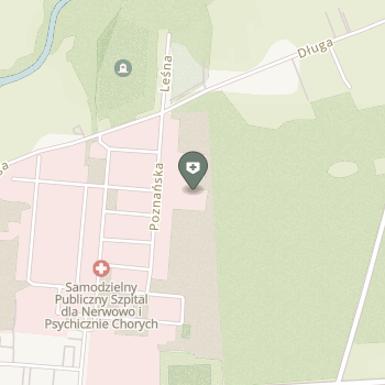 Samodzielny Publiczny Szpital dla Nerwowo i Psychicznie Chorych w Międzyrzeczu na mapie