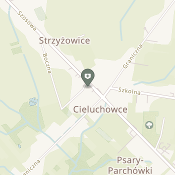 NZOZ Dental na mapie