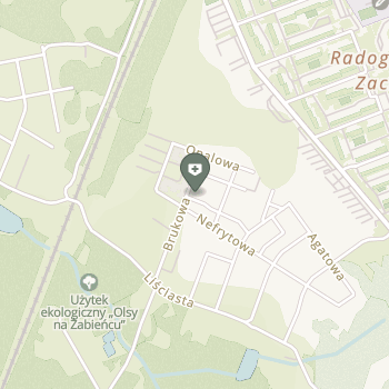 Niepubliczny Zakład Pielęgnacyjny "Bezpieczna Starość" na mapie
