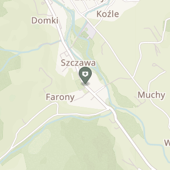 NZOZ w Szczawie na mapie