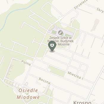 Centrum Stomatologii Piątkowo na mapie