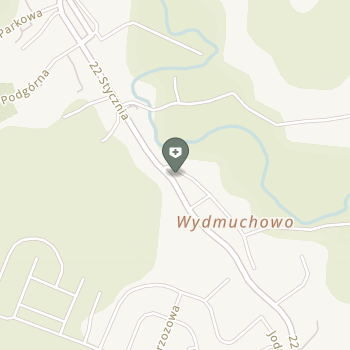 Szpital Powiatowy w Wyrzysku na mapie