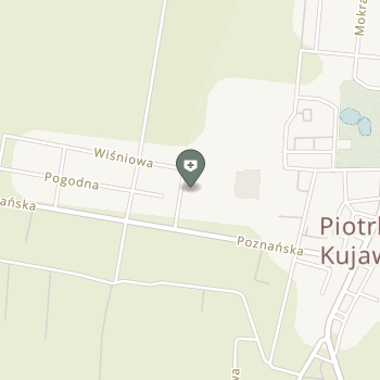 NZOZ "Termed" na mapie