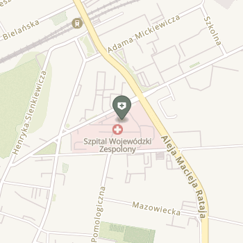 Wojewódzki Szpital Zespolony im. Stanisława Rybickiego w Skierniewicach na mapie