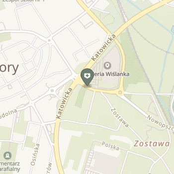 Stomatologia Wolscy Daria Foltyn-Wolska na mapie