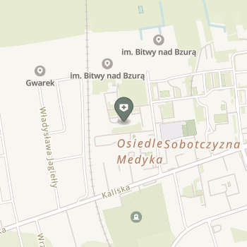 Zespół Opieki Zdrowotnej w Łęczycy na mapie