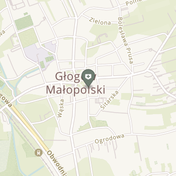 A. Strzelczyk-Dent Aleksandra Strzelczyk na mapie