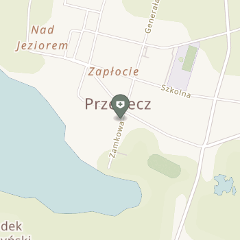 Niepubliczny Zakład Pielęgniarek Środowiskowo-Rodzinnych "Pigułka" na mapie