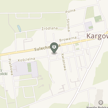 Praktyka-Med na mapie