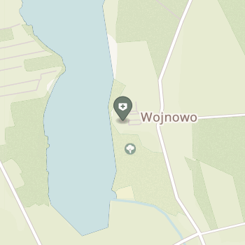 Szpital Rehabilitacyjno - Leczniczy dla dzieci SPZOZ w Wojnowie na mapie
