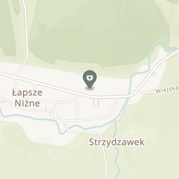 Gminny Ośrodek Zdrowia w Łapszach Niżnych na mapie
