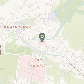 Szpital Miejski w Rabce-Zdroju na mapie