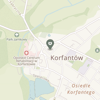 Europejskie Specjalistyczne Centra Medyczne - Korfantowska Ortopedia i Rehabilitacja "Kort" na mapie