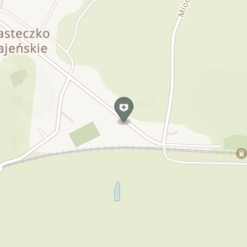 Aesculus Miasteczko Krajeńskie na mapie