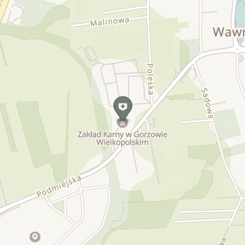 Ambulatorium z Izbą Chorych Zakładu Karnego w Gorzowie Wielkopolskim na mapie