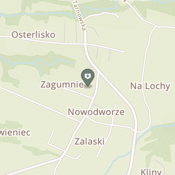 NZOZ "Medicum" Petlic na mapie