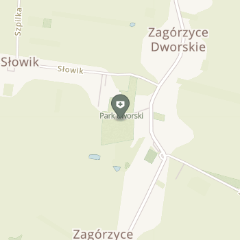 Szpital Kwitnąca Drzyzgiewicz Beata na mapie