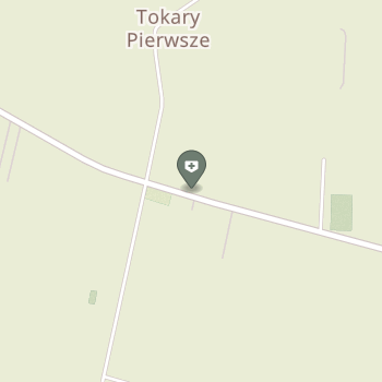 NZOZ Ośrodek Zdrowia w Tokarach na mapie