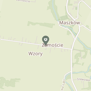 Amicus NZOZ na mapie