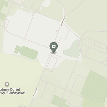 31 Baza Lotnictwa Taktycznego w Poznaniu-Krzesinach na mapie