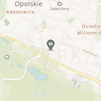 Centrum Terapii i Profilaktyki Krystyna Kowalska na mapie