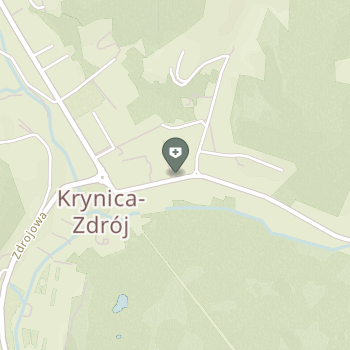 Sanatorium Uzdrowiskowe Soplicowo Krynica-Zdrój na mapie
