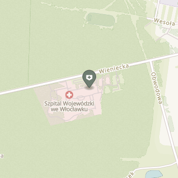 Wojewódzki Szpital Specjalistyczny im. Błogosławionego Księdza Jerzego Popiełuszki we Włocławku na mapie