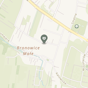 NSZOZ Pro Feminae na mapie