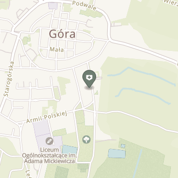 Centrum Medyczne "Grabkamed" na mapie