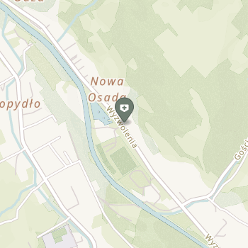 NZOZ "Dziechcinka" na mapie