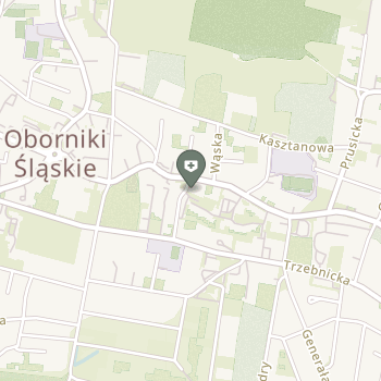 Jbkopyś Gabinet Ortopedyczno-Rehabilitacyjny na mapie