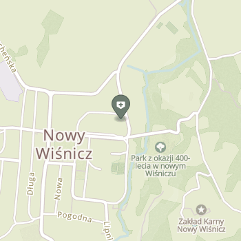 Spg ZOZ w Nowym Wiśniczu na mapie