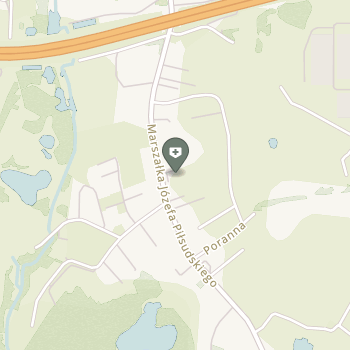 Śmigiel i Partnerzy Ortopedia Śląska - Poradnie na mapie