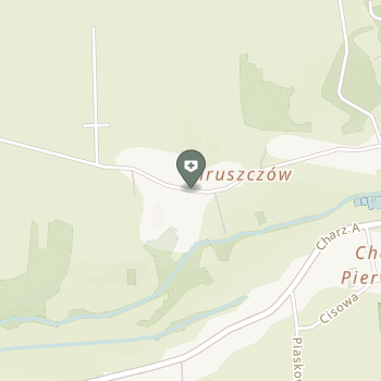 Fizjo-Home Nałęczów na mapie