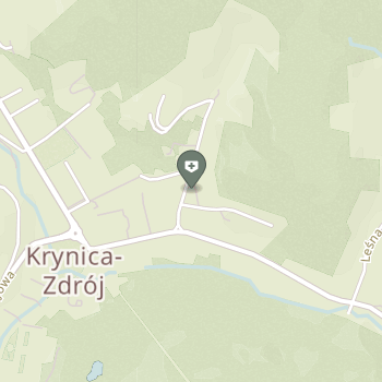 20 Wojskowy Szpital Uzdrowiskowo-Rehabilitacyjny SPZOZ w Krynicy-Zdroju na mapie