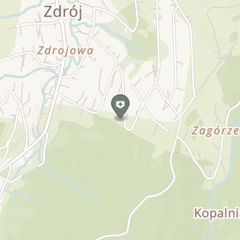 Terapia Iwonicz na mapie