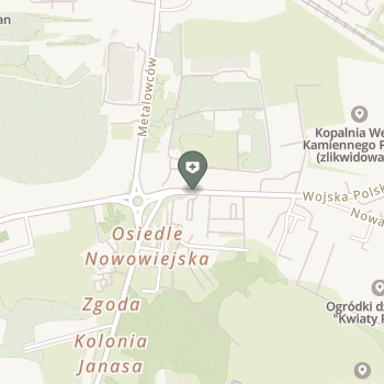 Śla Zakład Leczniczy na mapie