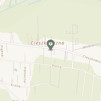 "Softmed Synergy" Marcin i Katarzyna Domańscy na mapie